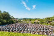 江西宜春冬天天气，袁州天气