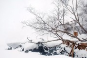 邹城天气预报