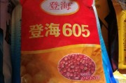 甘肃玉米品种钢杆605怎样?和登海605有区别吗