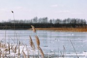 赛里木湖夏天温度，塞里木湖天气