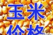 专家预测今日玉米价格最新消息