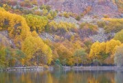 1月份南京温度，南京7月份天气