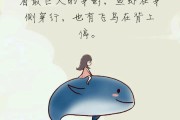 1017罗西主持什么节目