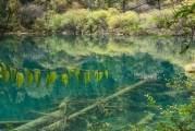 8月份欧洲天气怎么样