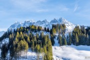 五月份,明月山山顶有多冷_明月山山顶有什么风景