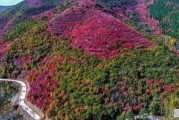 许昌十大古村落，许昌水泥斗拱今日价格