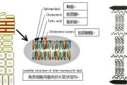 皮肤“补水”就是“保湿”吗，需要注意些什么