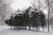 河南将开启大风+降温+雨雪模式，目前郑州天气如何