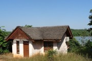 去湛江旅游，那边有哪些方便带回家的当地土特产,今日猪苗价格阳江