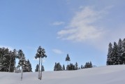 甘肃天水冬天最低气温是多少度,张川天气