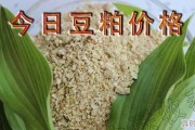 目前豆粕什么价