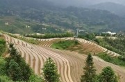 水井坊和梦之蓝和1573哪个就更好,股票群卖酒,盛世典藏