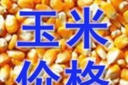 东北玉米价格近期会涨吗