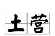 安庆钢塑土工格栅今日价格表