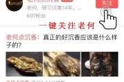 广东三大民系谁的影响力最大