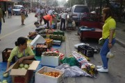 7月份南宁市有什么应季蔬菜