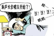 宠物被杀综艺节目叫啥名字