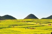 延吉天气穿衣建议，延吉今天天气