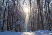 为什么下雪暖和，融雪冷，天气小常识