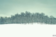 河南周口冬天的天气是怎样的，有没有下雪，温_周口天气今天几级风啊