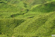 雷波县大断崖封闭后怎么去，甘洛县天气