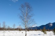 湖南常德一般什么时候下雪？现在还能下多大的雪_常德冬天冷还是杭州冷