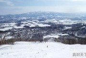 元旦期间想去北海道滑雪，有哪些滑雪场和酒店可以推荐呢