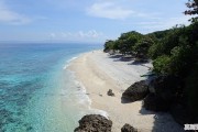 吉林蛟河松花湖酒价格_沙奶果价格