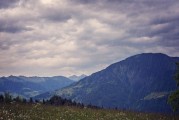 尧山杜鹃花最佳观赏时间，平顶山鲁山天气