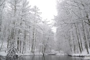 梅州冬天的天气冷不冷,梅县区天气