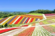 日本北海道天气怎样？什么季节去是最佳时节呢