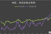 毛鸡、鸡苗价格大幅走高，你怎么看