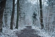 敦化下雪了吗，敦化市天气