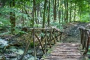 永川十里荷香门票多少钱_永川黄瓜山其中园门票