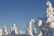 2021年河北第一场雪在什么时候_保定涞源天气