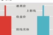 白鹿参加北京国际电影节了吗,北京电影节红毯女星有哪些名字呢