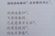 被誉为民国四大才女之一的石评梅，人生成就如何