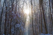 恒山下雨天开放吗_恒山下山路线