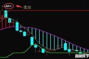 电子信息科学与技术考研的科目有哪些，科技创新专业有哪些专业可选