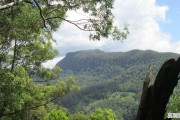 茶山竹海封山了吗,永川区天气