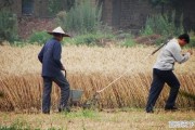 4月份去五台山冷不冷，台山市天气