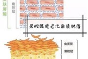 今日柠檬酸价格最新行情走势