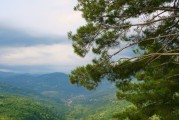 虎丘山银杏金黄什么时候_苏州八月份旅游景点推荐