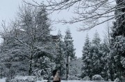 重庆金佛山天气,芜湖三山区天气