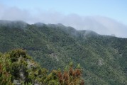 7月龙里大草原好玩吗，龙里县天气