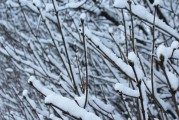 12月西岭雪山温度_西岭雪山温度穿衣指南