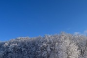 12月份鹤壁市会不会太冷,有降雪没,鹤壁的天气