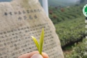 安吉白茶价格因素有哪些？安吉白茶多少钱一斤