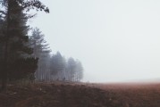 春节去湖南云冰山冷吗,零陵天气