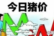 广州白云区部分地区因疫情再次被封，你存储了多少食物